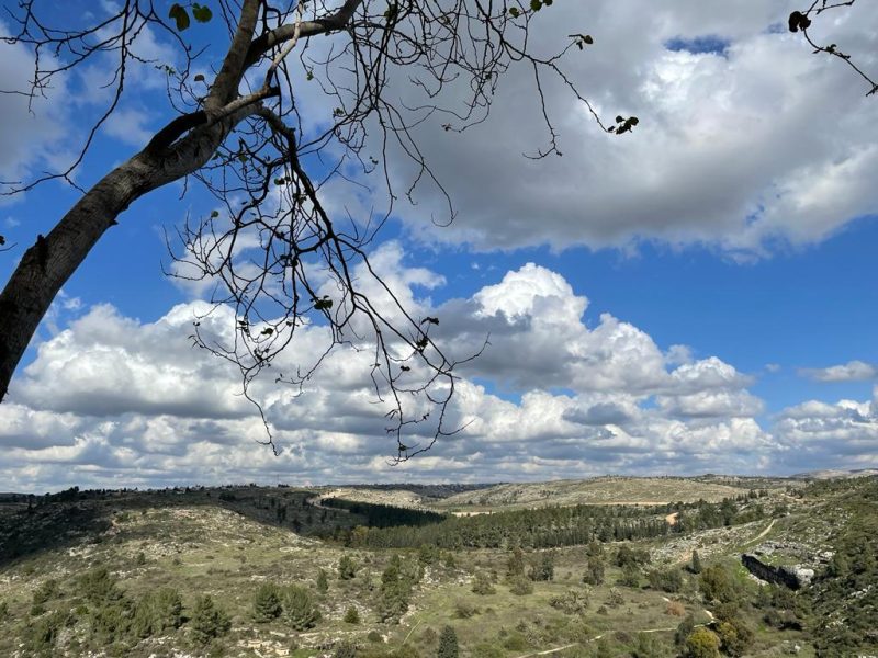 נוף מקומי - נאות קדומים. צילום: ישראלינג