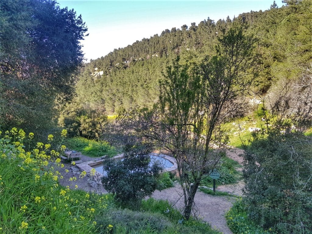 בריכת דובק, על שמו של דב וינשטוק ז”ל. צילום: שלגית אשטמקר