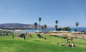 חוף צמח קיבל את הכבוד עם "דגל כחול" למצויינות. צילום: נועה אלפנדרי, איגוד ערים כינרת