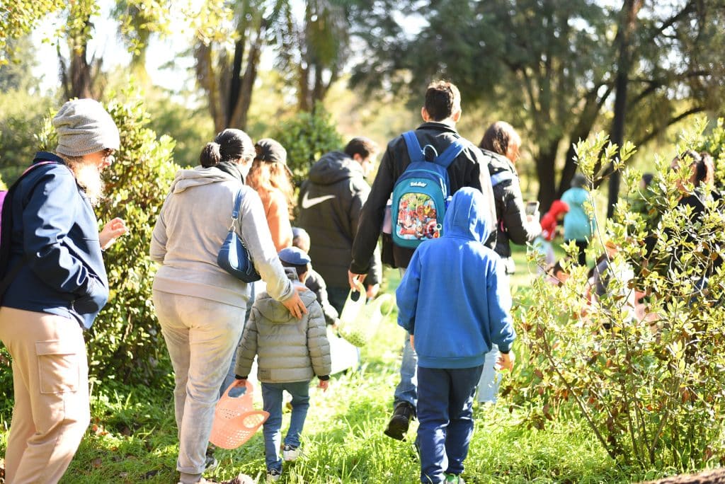 אירועי ט"ו בשבט במקוה ישראל. צילום: המועצה לשימור אתרים