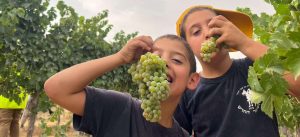 בציר משפחות חווייתי במצפה רמון. צילום: איתן גל דור - השומר החדש