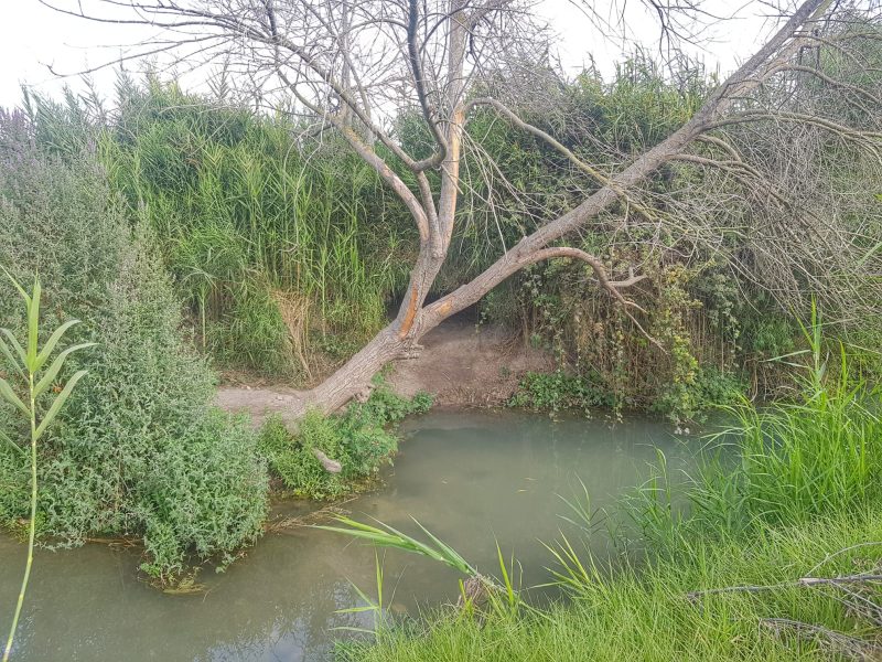 טיולי ג'יפים בבנימינה סביב תוכן מגוון, עם רז טיולים. צילום: שלגית אשטמקר