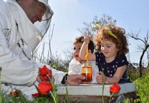 פסטיבל הדבש 2024- חגיגה של מתוק מהטבע. צילום: דבורת התבור