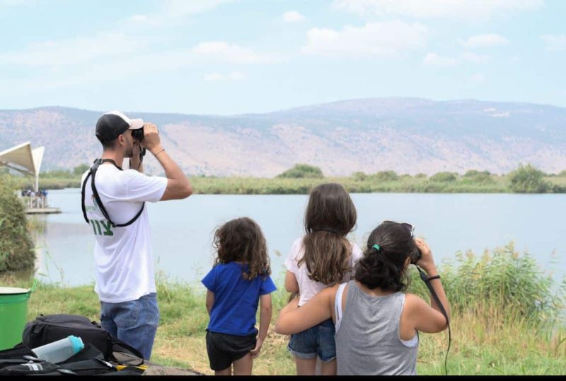 צפרתון קק"ל. צילום: מיכאל חורי, ארכיון הצילומים של קקל