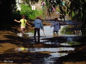 סופ"ש עם רשות הטבע והגנים- צעדת בוץ, ביצות ושלוליות בירקון. צילום: יעקב חנאל