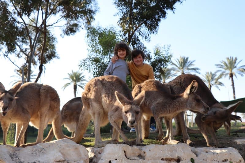 מבקרים בגן גורו בעמק המעיינות