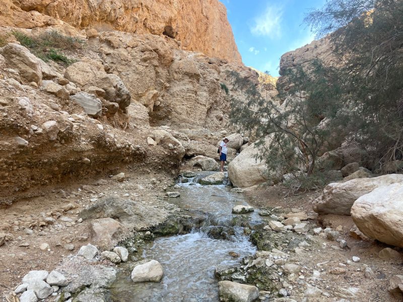 טיול קסום לעין בוקק בחורף. צילום: ישראלינג