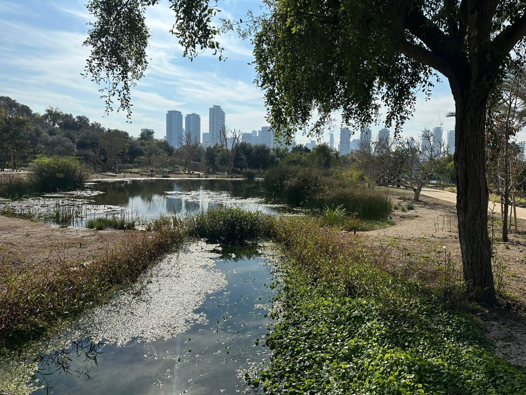 "צבע הדברים" - פעילות מרתקת נגישה לילדים עם צרכים מיוחדים. ט"ו בשבט בבוסתן מוז"א לכל המשפחה. צילום: מוזא