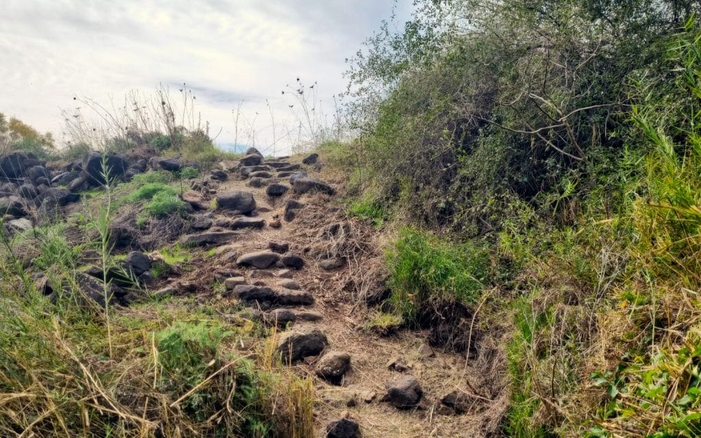 מסלולים מומלצים ב'שביל סובב כינרת' - מגשר אריק לכפר נחום. צילום: דניאל וקנין, איגוד ערים כינרת
