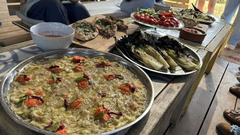 מנות פשוטות ונפלאות היוצאות מהטבון. צילום: איריס כץ