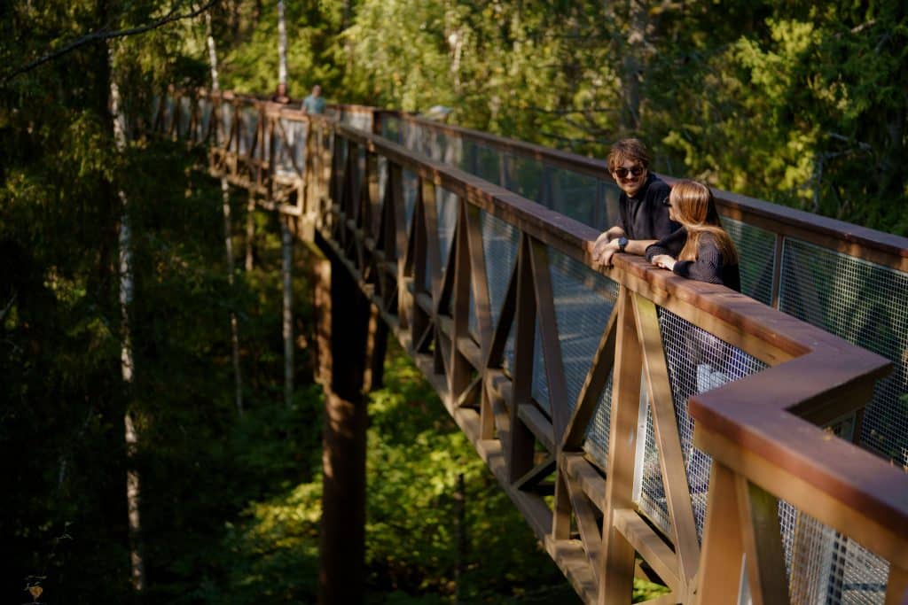 שביל הליכה בצמרות העצים, אניקשצ'אי. The Treetop Walking Path, Anykščiai © Kipras Štreimiki
