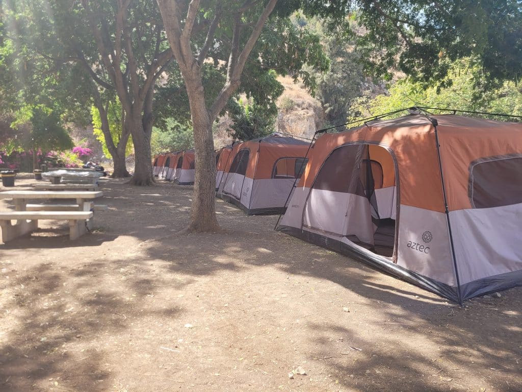 חניון הלילה מעיין חרוד. צילום: ציפי כהן רשות הטבע והגנים