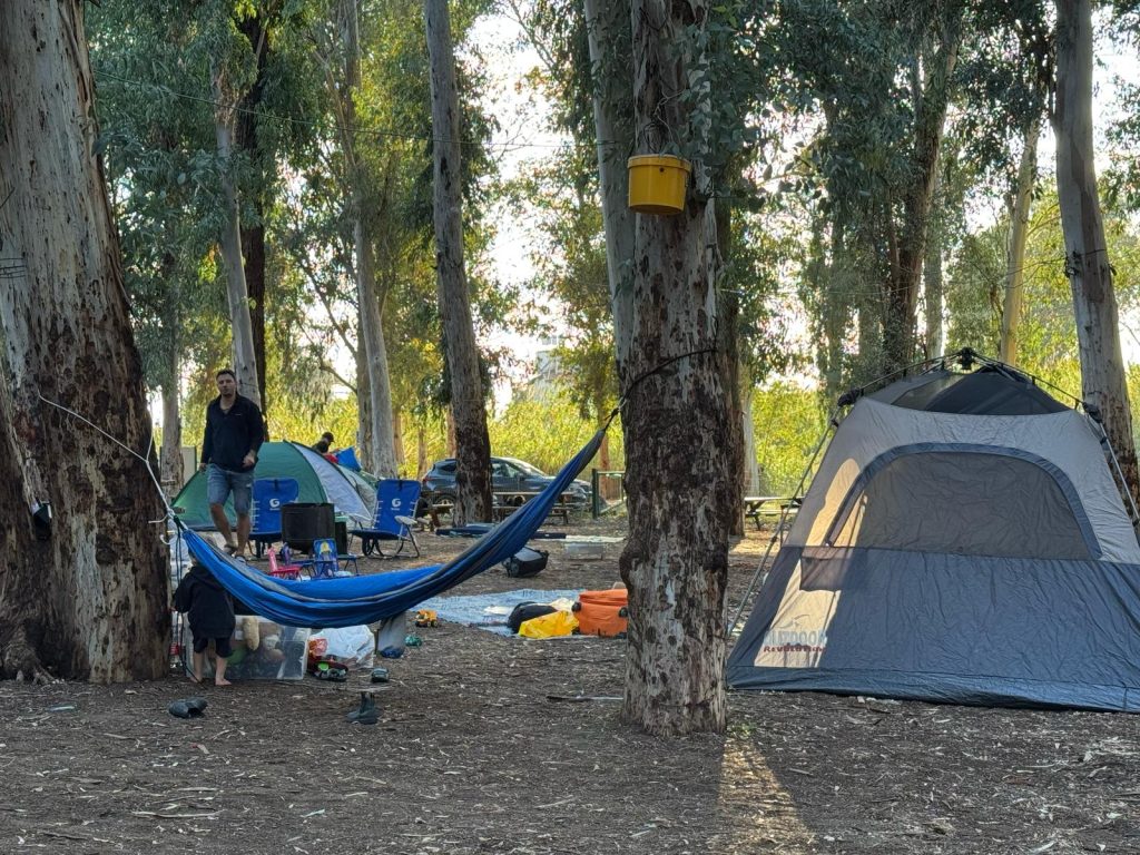 חניון לילה מקורות הירקון. צילום: אתי נפרין רשות הטבע והגנים