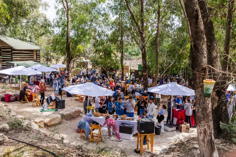 יריד זמן יין הגליל חוזר בשבוע הבא. צילום: ענבל אור-לב