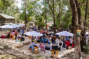יריד זמן יין הגליל חוזר בשבוע הבא. צילום: ענבל אור-לב