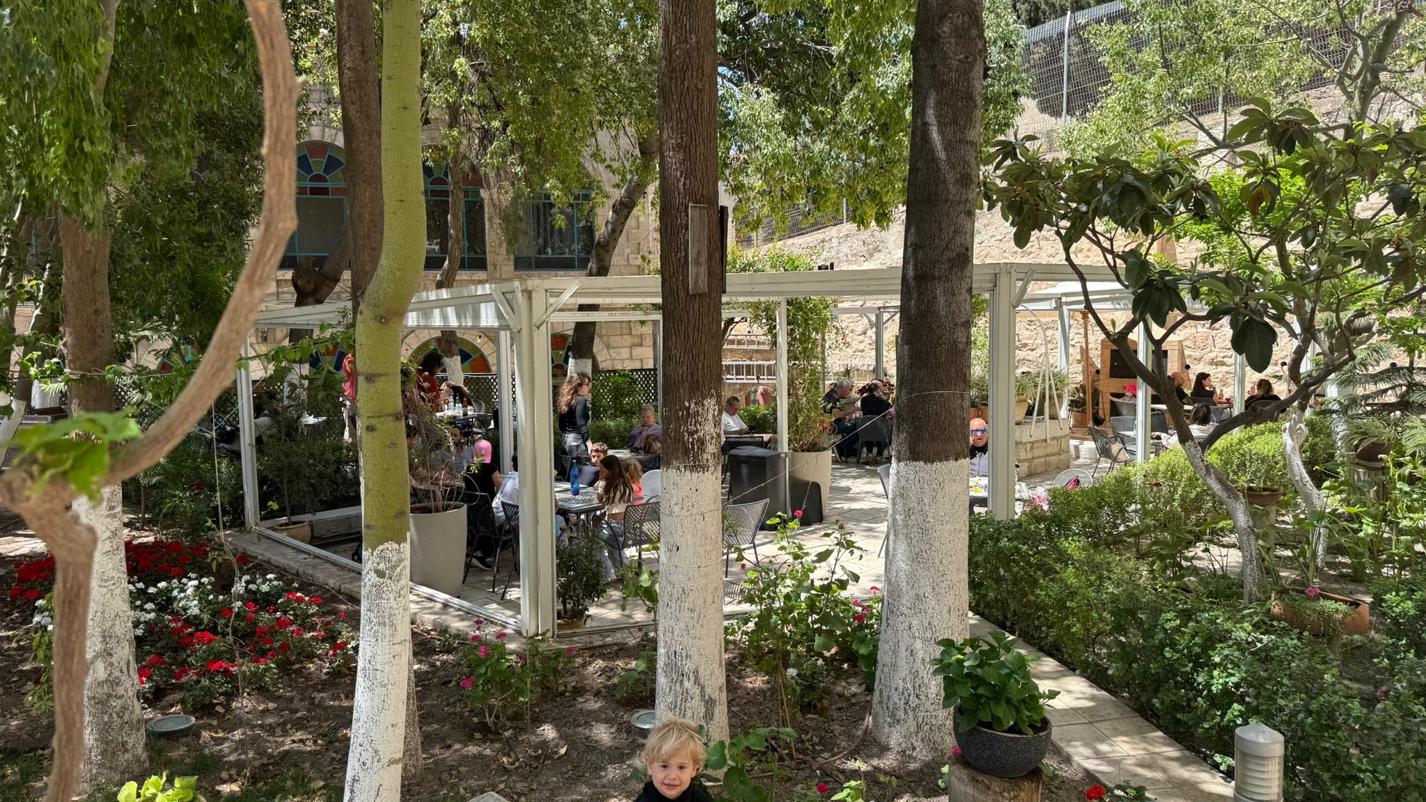 פנים בית הקפה בהוספיס האוסטרי