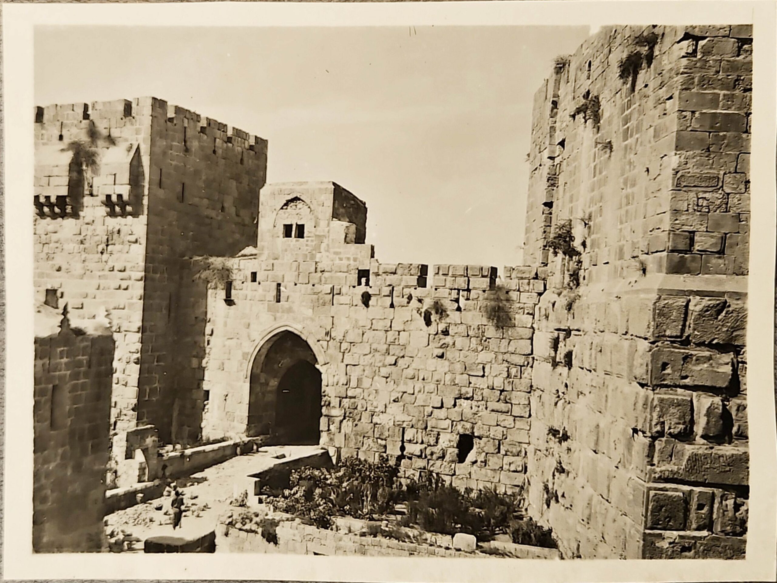 צילום ארכיון נדיר של הכותל המערבי