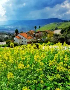 מטולה יוצאת לדרך חדשה: שישי של תרבות, מוזיקה והיסטוריה. צילום: יאן קאפוסנאק