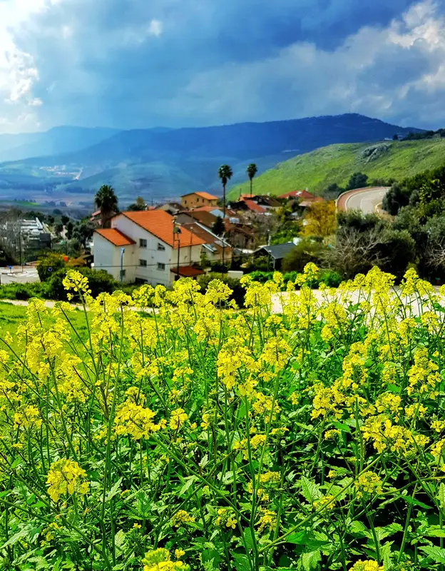 מטולה יוצאת לדרך חדשה: שישי של תרבות, מוזיקה והיסטוריה. צילום: יאן קאפוסנאק