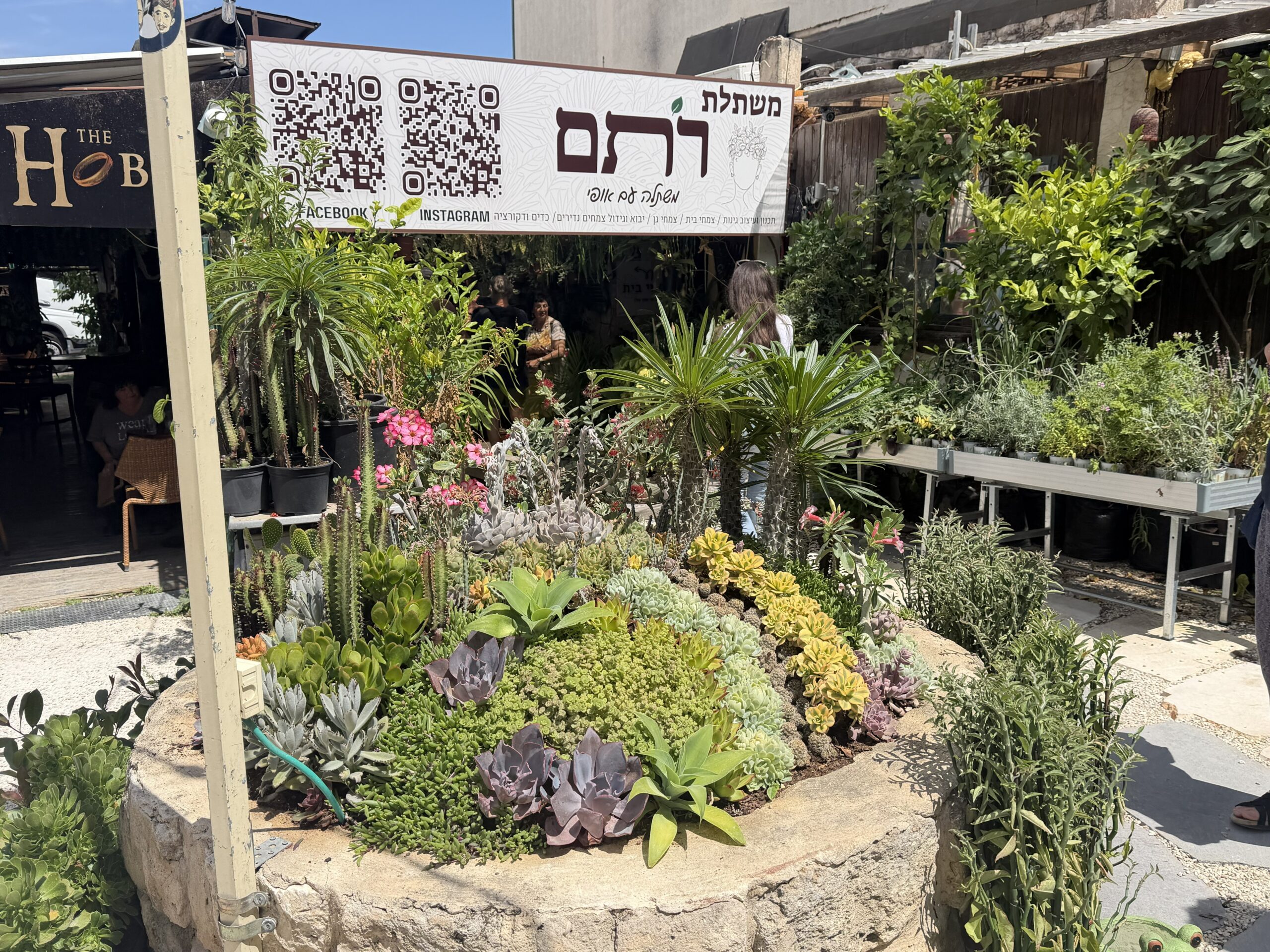 משתלת רותם במדרחוב זכרון יעקב