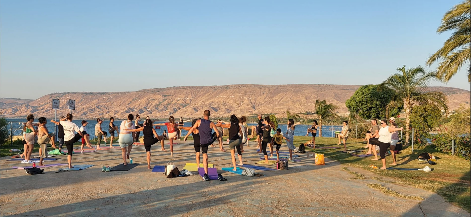 סדנת יוגה בחוף צמח בכנרת