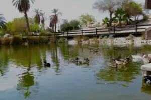 מינוי חדש- פארק ספיר בערבה התיכונה. צילום: גלעד לבני