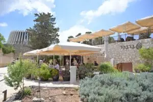 הריאה הירוקה של הרי ירושלים - יער עמינדב. אירוע יד קנדי. צילום: שלומי אמסלם, מערך ההסברה קק״ל