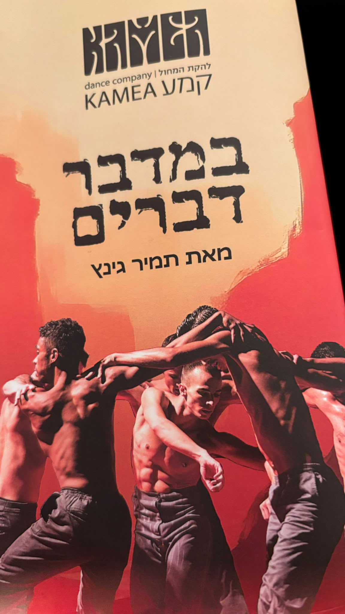 התוכנייה של במדבר דברים