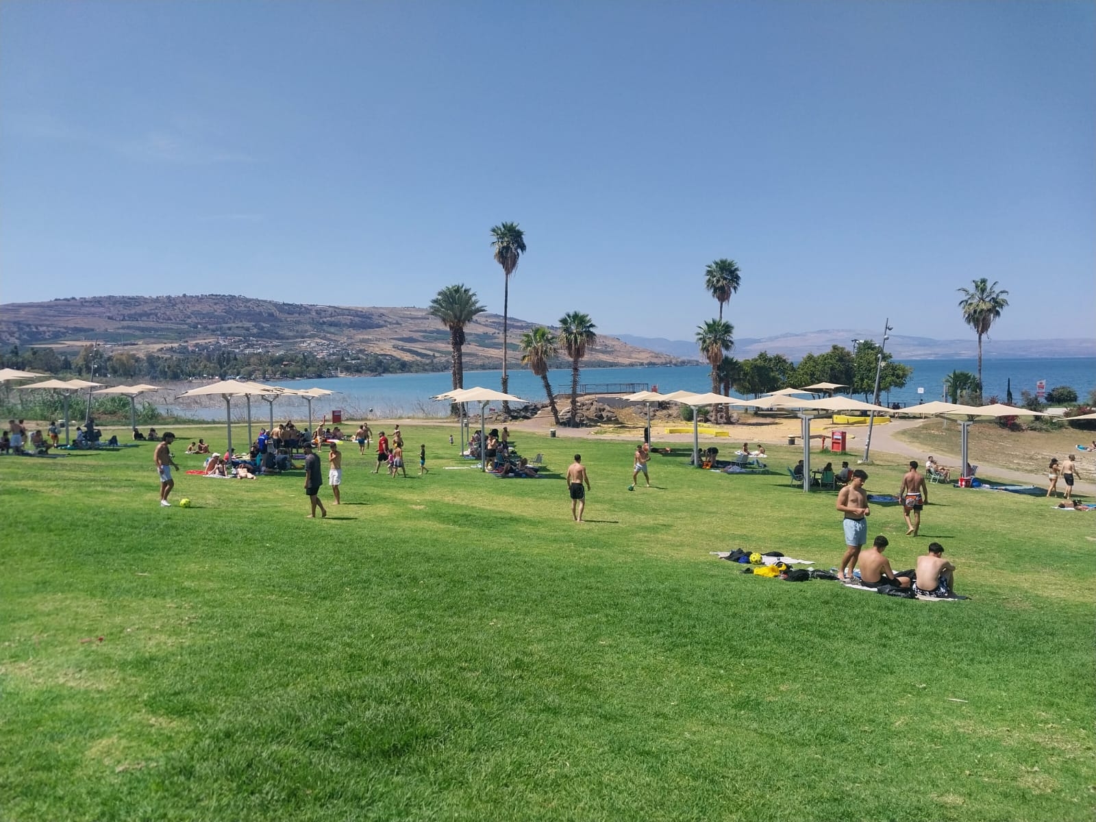 חוף צמח בכינרת בקיץ