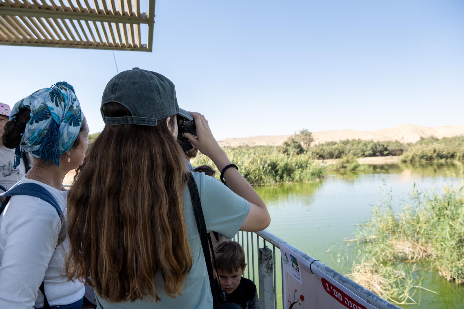 ציפור נודדת במסגרת צפרתון קק