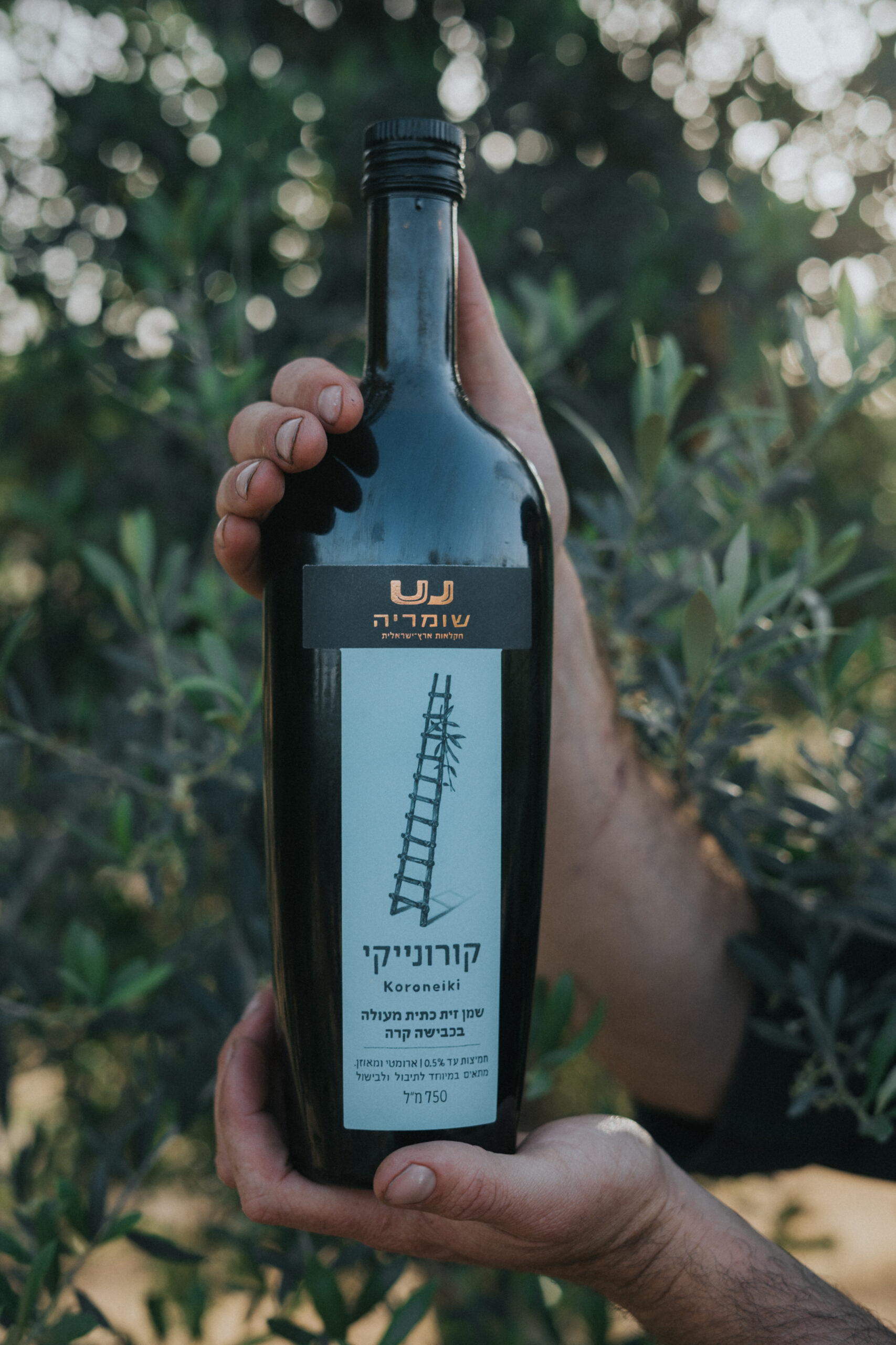 שמן הזית של קיבוץ שומריה