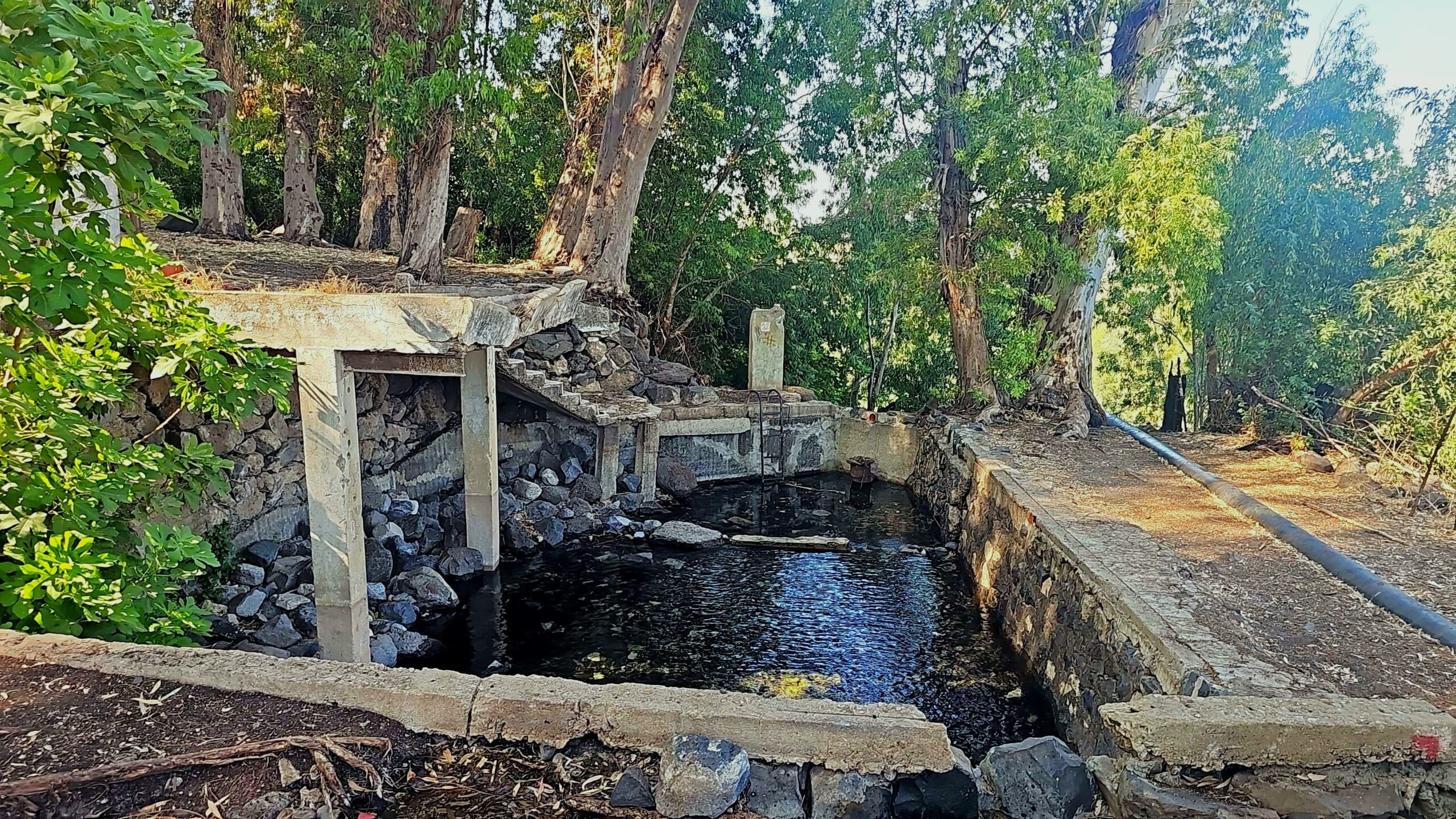 בריכת הקצינים עין ג'ילבון בצפון