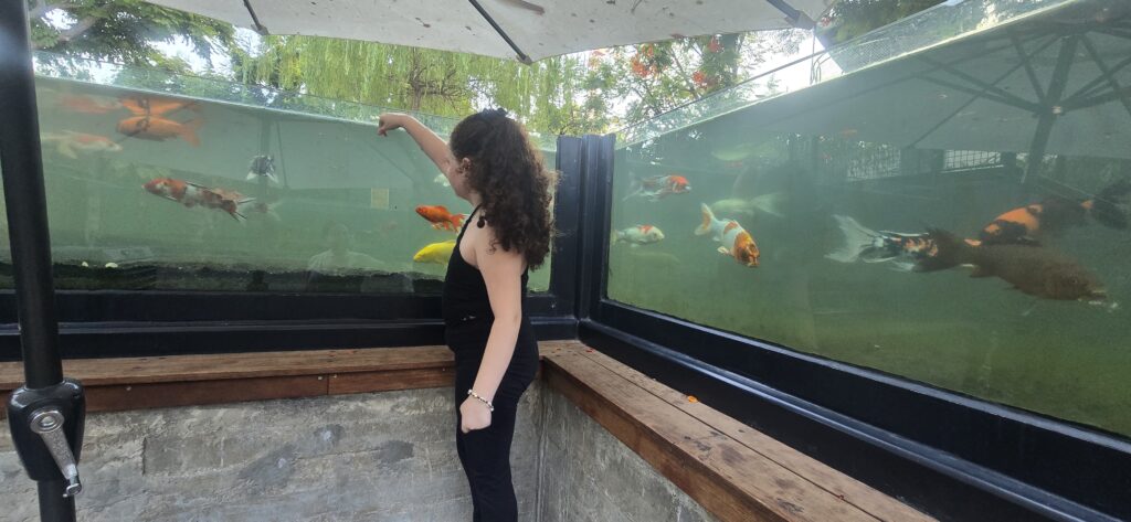 פעילות יצירתית בנושא ציפה. צילום לי דובינסקי
