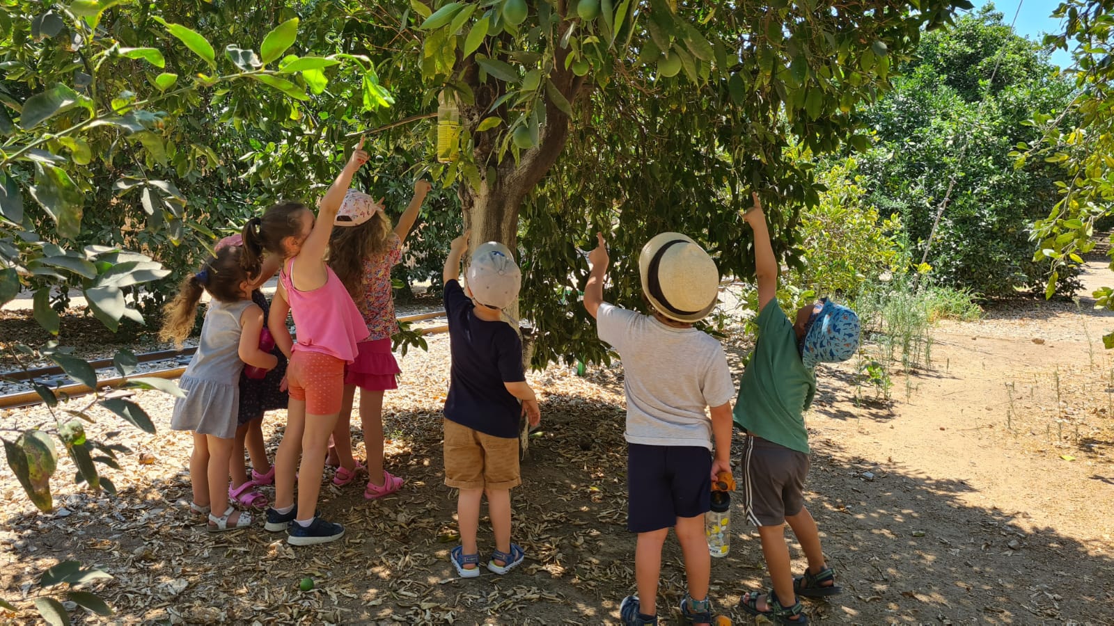 אתר הפרדסנות ע״ש מינקוב ברחובות