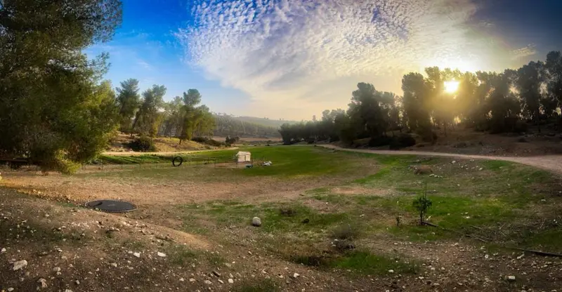 השטחים הפתוחים בחוות שקף. צילום איתמר צרפתי