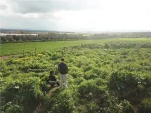 יער מאכל בית לחם הגלילית. צילום סמדר לוי שואף