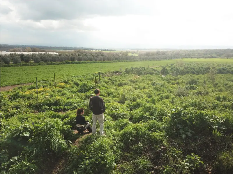 יער מאכל בית לחם הגלילית. צילום סמדר לוי שואף