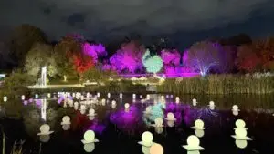 WINTER DREAMS 2026 - מגיעה לגן הבוטני בירושלים - חווית חו"ל לכל המשפחה. צילום: סיגל קליין