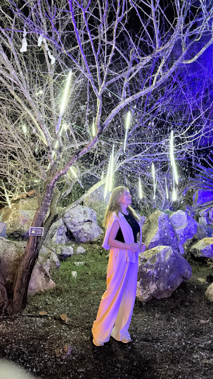 מיצג תאורה נוסף במסלול Winter Dreams בירושלים