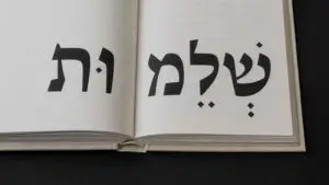 "אנחנו עוד נראה את הימים האחרים": אמנות, יצירה ותקווה - יצירה של יהודה פלדמר שלום. צילום: באדיבות האמן