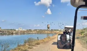 מרכבות השדה: 'סוד הפלא הקיבוצי' בכפר מסריק יקיים מדי שבת באוקטובר 2026. כפר מסריק מרכבות השדה צילום: רחלי און
