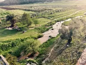 סיורי "באים לשבט" בנחל ציפורי מזמינים להכיר מקרוב את הגליל הבדואי. בתמונה: נחל ציפורי. צילום: שרון בן ארי