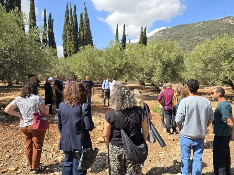השתלמות מיוחדת למורי דרך לקראת חג המסיק ופסטיבל "ימי ענף הזית". פסטיבל ימי ענף הזית. צילום: סטודיו A