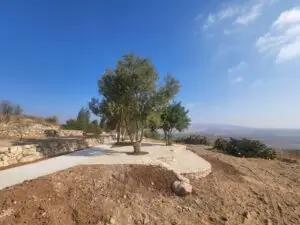 תצפית חדשה ושביל נגיש: קק”ל חידשה את תל יזרעאל. צילום: עבד באדרנה, קק״ל